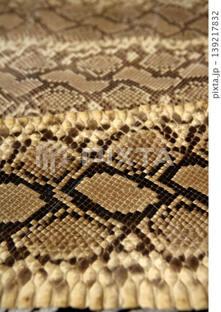 Background snake skin pattern brown Background snake skin pattern brown 139217832
