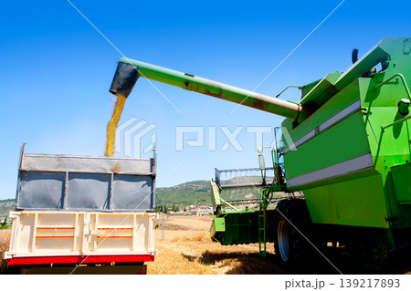 Combine harvester unloading wheat in truck Combine harvester unloading wheat in truck 139217893
