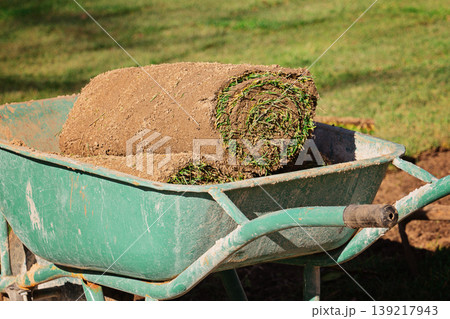 Extreme closeup of turf roll end revealing spiral cross section of sandy soil and fresh green grass blades, abstract earthy pattern 139217943