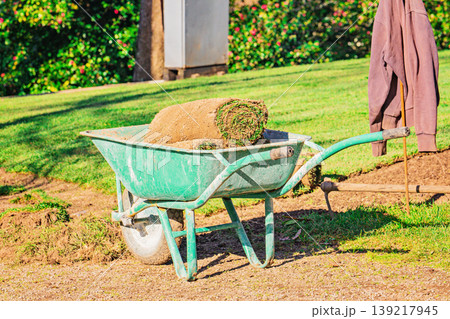 Green wheelbarrow holding single turf roll beside rake with hanging jacket, green lawn and flowering shrubs in sunny background 139217945