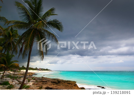 Caribbean stormy day palm trees in Tulum Mexico Caribbean stormy day palm trees in Tulum Mexico 139218091