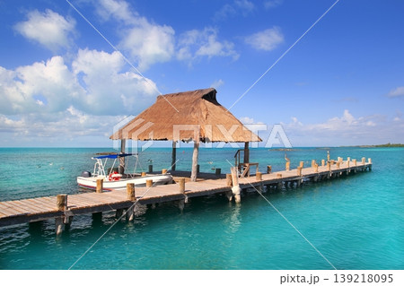 Contoy island Mexico wood pier nature reserve 139218095