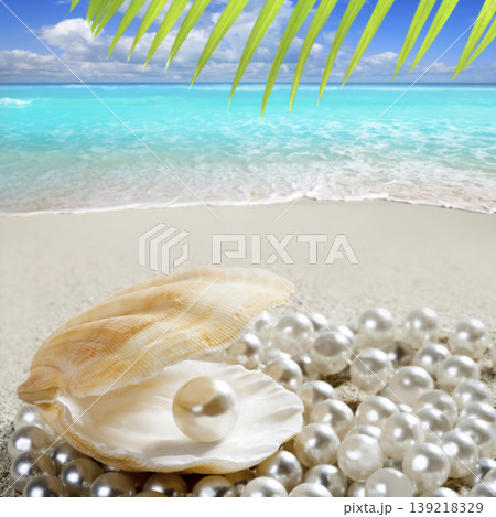 Caribbean pearl on shell white sand beach tropical Caribbean pearl on shell white sand beach tropical 139218329