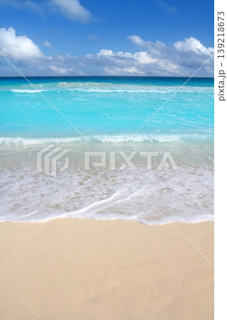 beach tropical vertical Caribbean turquoise sea beach tropical vertical Caribbean turquoise sea 139218673