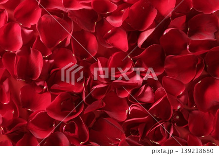Red rose petals texture background 139218680