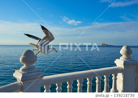 Benidorm Mirador del Castillo lookout Alicante Benidorm Mirador del Castillo lookout Alicante 139218730