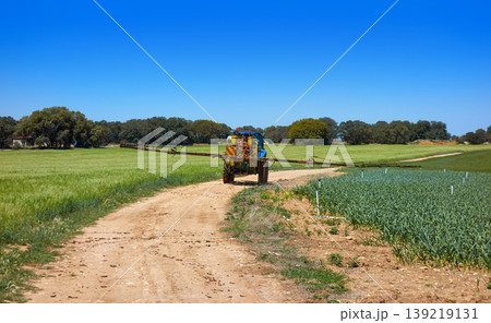 Fumigation tractor in cereal and onion field 139219131