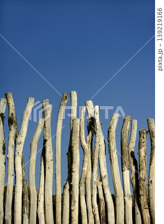 Wooden wall made of wood trunks 139219166