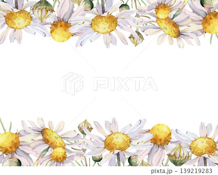Watercolor floral border featuring white daisies (chamomile) and delicate green buds. Horizontal botanical frame for wedding invitations, summer greeting cards, organic cosmetic packaging, and herbal Watercolor floral border featuring white daisies (chamomile) and delicate green buds. Horizontal botanical frame for wedding invitations, summer greeting cards, organic cosmetic packaging, and herbal 139219283