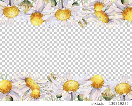 Watercolor floral border featuring white daisies (chamomile) and delicate green buds. Horizontal botanical frame for wedding invitations, summer greeting cards, organic cosmetic packaging, and herbal Watercolor floral border featuring white daisies (chamomile) and delicate green buds. Horizontal botanical frame for wedding invitations, summer greeting cards, organic cosmetic packaging, and herbal 139219283