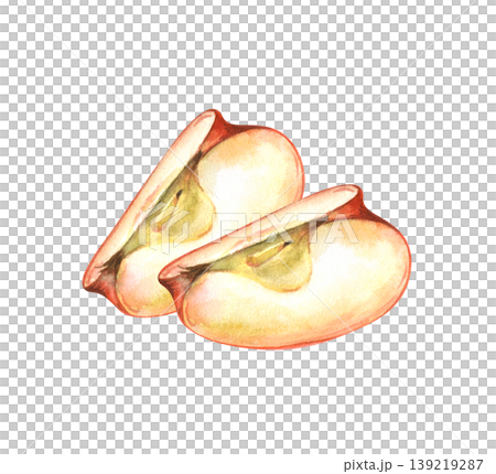 Watercolor illustration of two fresh red apple slices. Isolated on a white background. Ideal for healthy food packaging, recipe books, kitchen art, organic juice labels, and educational botanical 139219287