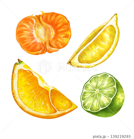 Watercolor set of halves and pieces of citrus fruits on an isolated background. Slices of tangerine, lemon, orange and lime. Realistic clipart for juice packaging, healthy food branding, summer-themed 139219293