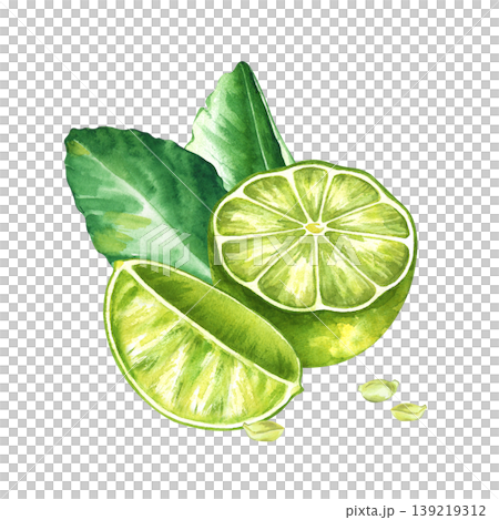 A vibrant botanical watercolor illustration featuring a lime cut in half, a juicy wedge, and fresh green leaves..Small citrus seeds are included to complete the natural food composition. This high A vibrant botanical watercolor illustration featuring a lime cut in half, a juicy wedge, and fresh green leaves..Small citrus seeds are included to complete the natural food composition. This high 139219312