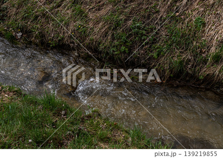 Small Natural Stream Flowing Through Spring Grass 139219855