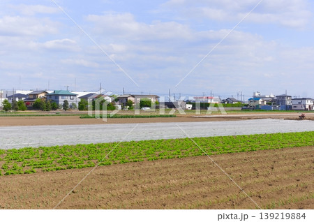 千葉県松戸市新松戸の風景2026年4月 千葉県松戸市新松戸の風景2026年4月 139219884