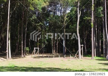 千葉県柏市手賀の丘公園周辺2026年4月 139219925