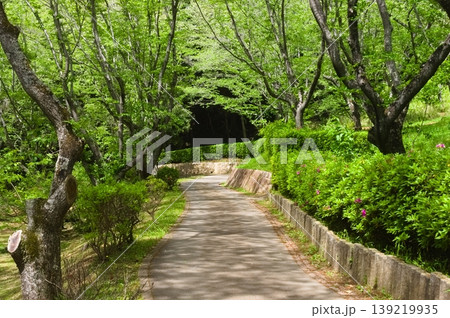 千葉県柏市手賀の丘公園周辺2026年4月 千葉県柏市手賀の丘公園周辺2026年4月 139219935