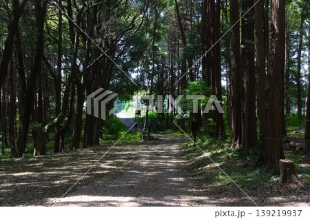 千葉県柏市手賀の丘公園周辺2026年4月 千葉県柏市手賀の丘公園周辺2026年4月 139219937