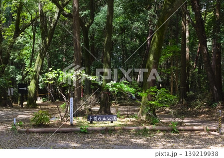 千葉県柏市手賀の丘公園周辺2026年4月 139219938