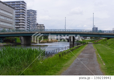 東京都江戸川区旧中川沿いの風景2026年4月 東京都江戸川区旧中川沿いの風景2026年4月 139219941
