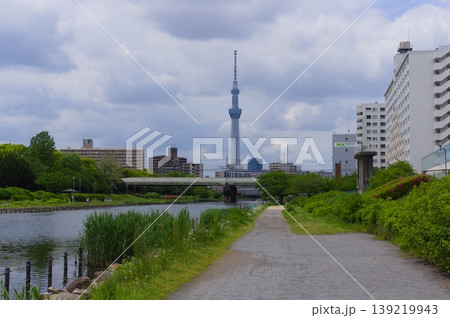 東京都江戸川区旧中川沿いの風景2026年4月 東京都江戸川区旧中川沿いの風景2026年4月 139219943