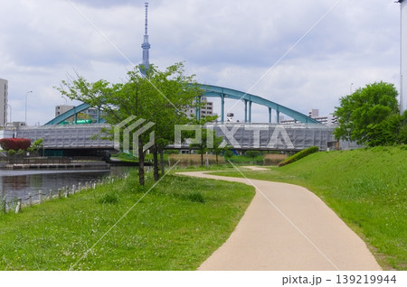 東京都江戸川区旧中川沿いの風景2026年4月 東京都江戸川区旧中川沿いの風景2026年4月 139219944