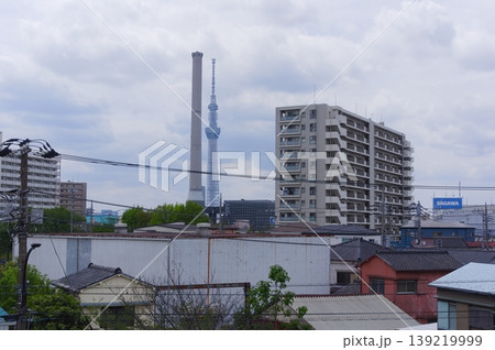 荒川河川敷から見える東京スカイツリー2026年4月 139219999