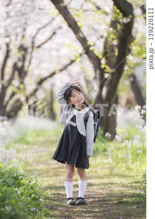 桜並木に囲まれた道で手を挙げる新入学の女の子 桜並木に囲まれた道で手を挙げる新入学の女の子 139220111