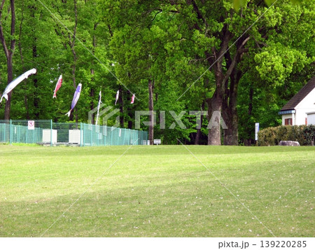 春を迎えた農林公園(2026.4.24) ゴールデンウィークが間近で鯉のぼりが泳ぐ 埼玉県深谷市 春を迎えた農林公園(2026.4.24) ゴールデンウィークが間近で鯉のぼりが泳ぐ 埼玉県深谷市 139220285
