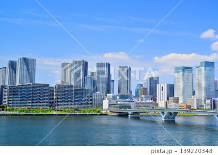 豊洲市場の屋上緑化広場から見える晴海方面の都市風景 豊洲市場の屋上緑化広場から見える晴海方面の都市風景 139220348