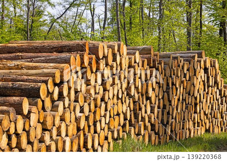 Stacked timber logs forest clearing wood industry 139220368