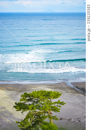 東伊豆エリアの人気海水浴場＜今井浜＞ 139220383