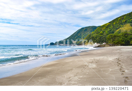 東伊豆エリアの人気海水浴場＜今井浜＞ 139220471