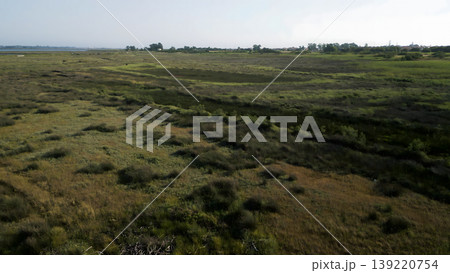 Aerial View of Lush Coastal Wetlands and Grasslands at Sunset 139220754