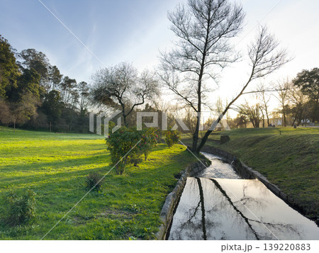 Tranquil Stream in Parque da Cidade de Santa Maria da Feira at Sunset Tranquil Stream in Parque da Cidade de Santa Maria da Feira at Sunset 139220883