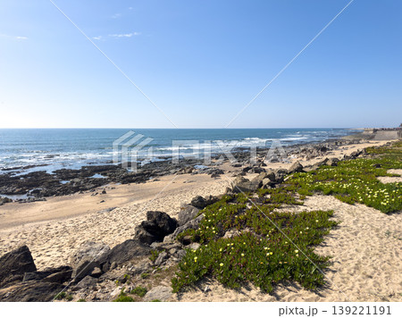Sunny Coastline of Praia da Granja with Yellow Wildflowers in Sao Felix da Marinha Porto Portugal Sunny Coastline of Praia da Granja with Yellow Wildflowers in Sao Felix da Marinha Porto Portugal 139221191