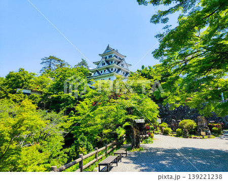 郡上八幡城 郡上八幡城 139221238
