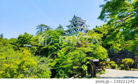 郡上八幡城 139221245