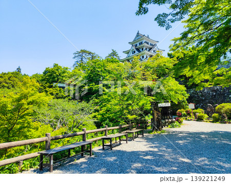 郡上八幡城 139221249