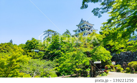郡上八幡城 郡上八幡城 139221250