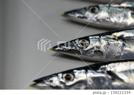 秋の味覚の新鮮な生の秋刀魚 秋の味覚の新鮮な生の秋刀魚 139221334
