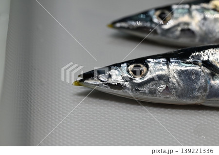 秋の味覚の新鮮な生の秋刀魚 秋の味覚の新鮮な生の秋刀魚 139221336