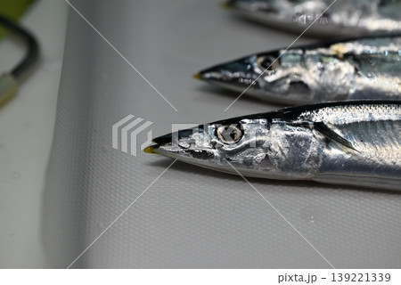 秋の味覚の新鮮な生の秋刀魚 秋の味覚の新鮮な生の秋刀魚 139221339