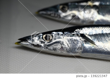 秋の味覚の新鮮な生の秋刀魚 139221347