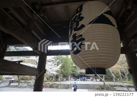 鎌倉26330 円覚寺2 提灯&桜 鎌倉26330 円覚寺2 提灯&桜 139222177