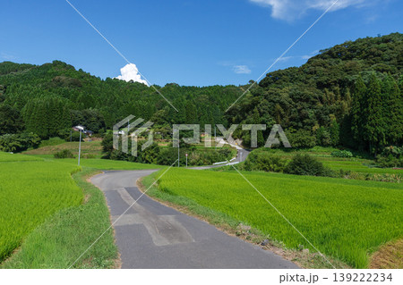 日本の田舎の風景(田園と山並み・S字の道路・コピースペースあり) 日本の田舎の風景(田園と山並み・S字の道路・コピースペースあり) 139222234