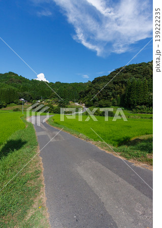 日本の田舎の風景(田園と山並み・S字の道路・縦構図・コピースペースあり) 日本の田舎の風景(田園と山並み・S字の道路・縦構図・コピースペースあり) 139222235