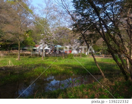 三宝寺池 139222332
