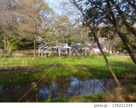 三宝寺池 139222334