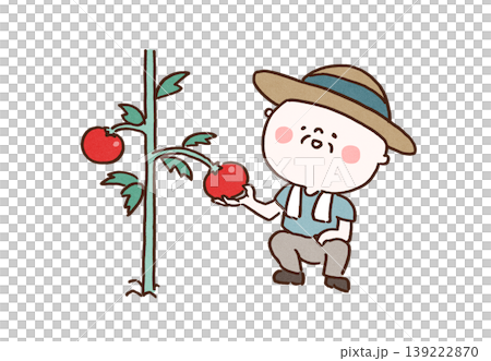 An illustration of a grandfather wearing a straw hat and harvesting tomatoes (Hobbies, Health, Home Gardening) An illustration of a grandfather wearing a straw hat and harvesting tomatoes (Hobbies, Health, Home Gardening) 139222870